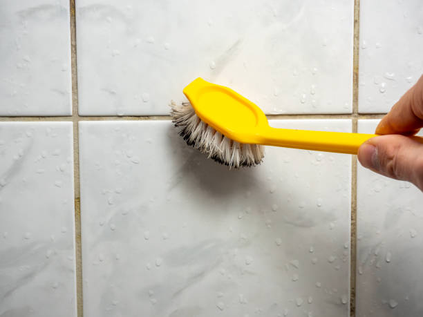 Best Mold Damage Repair  in Monee, IL