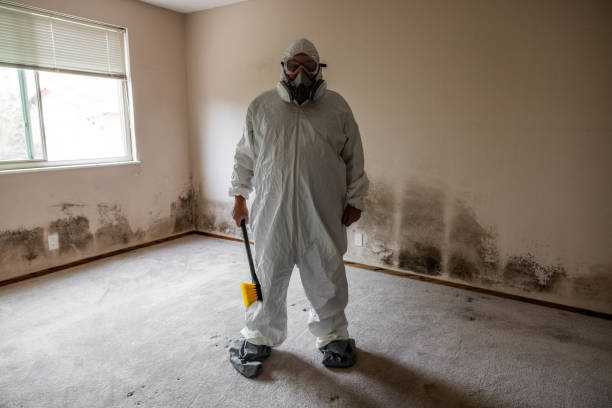 Best Residential Mold Removal  in Monee, IL