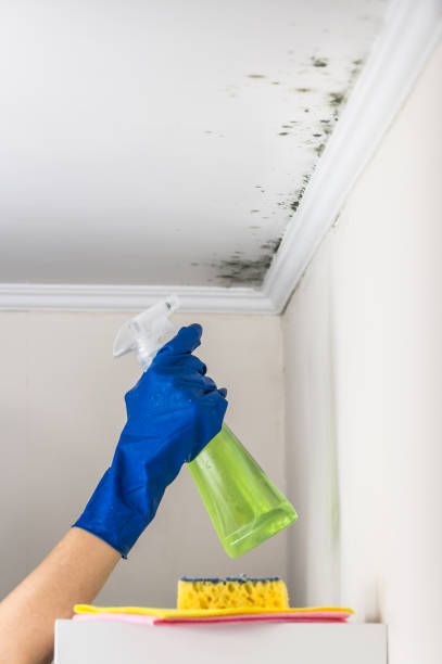 Best Mold Testing  in Monee, IL