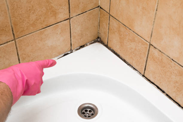Best Mold Testing  in Monee, IL